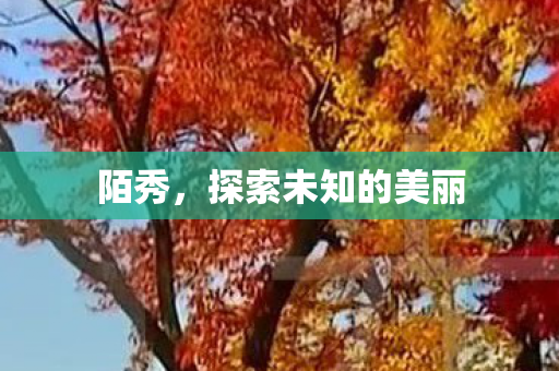 探索未知的美丽图片
