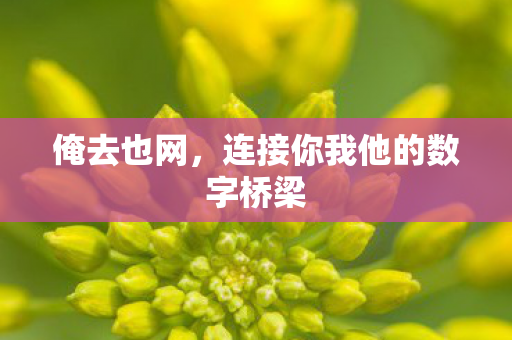 连接你我他的数字桥梁图片