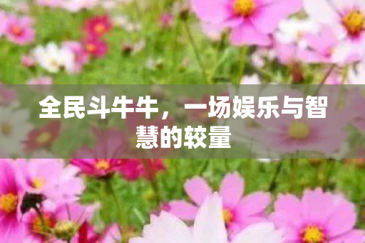 一场娱乐与智慧的较量图片