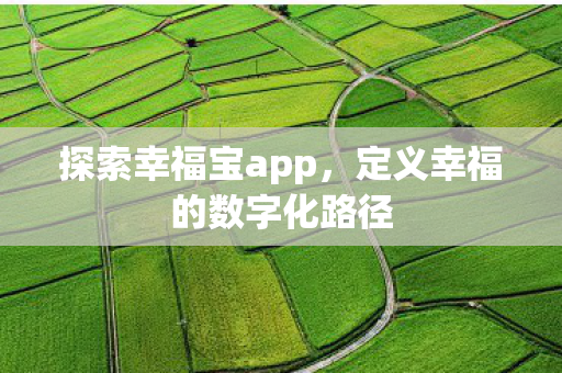 定义幸福的数字化路径图片