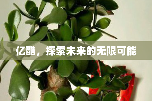 探索未来的无限可能图片