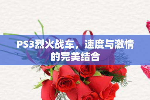 速度与激情的完美结合图片