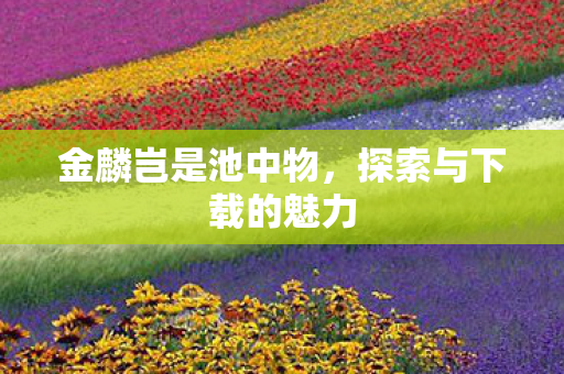 探索与下载的魅力图片