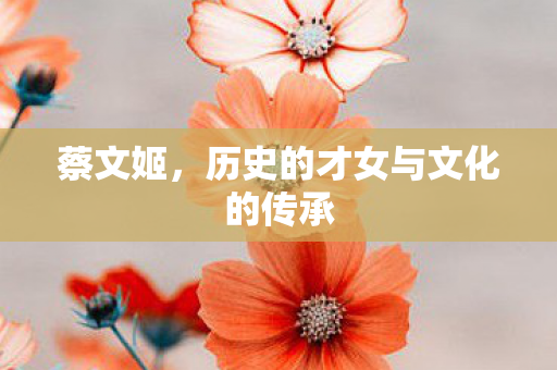 历史的才女与文化的传承图片