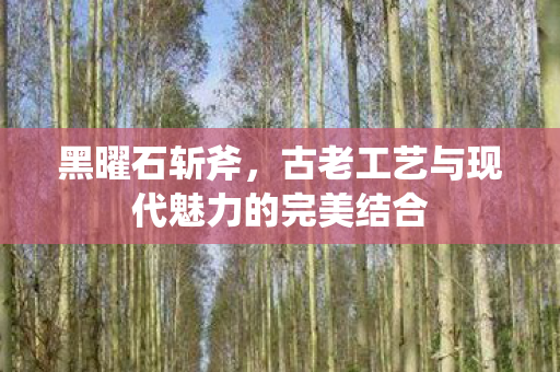 古老工艺与现代魅力的完美结合图片