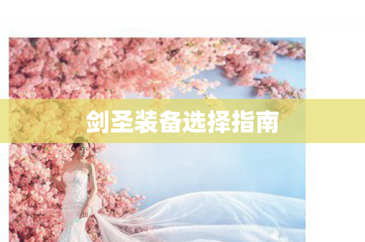剑圣装备选择指南图片