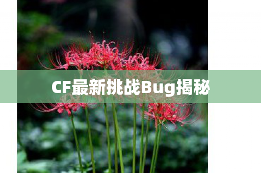 CF最新挑战Bug揭秘图片