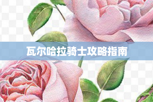瓦尔哈拉骑士攻略指南图片