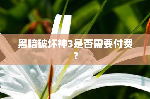 黑暗破坏神3是否需要付费图片