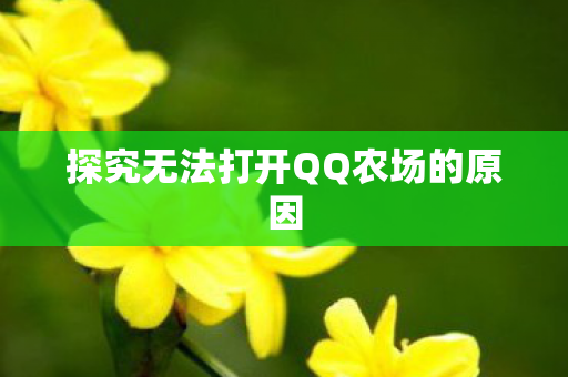 探究无法打开QQ农场的原因图片