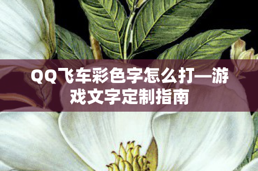 QQ飞车彩色字怎么打图片