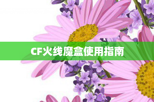 CF火线魔盒使用指南图片