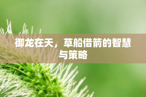 草船借箭的智慧与策略图片
