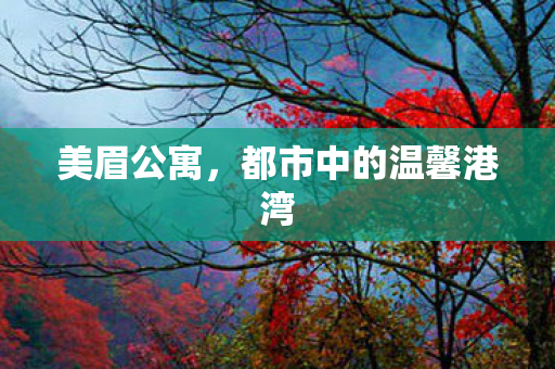 都市中的温馨港湾图片