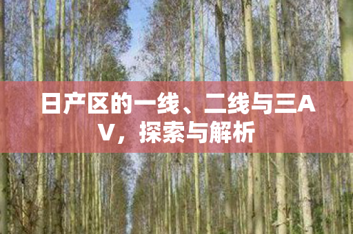 日产区的一线图片