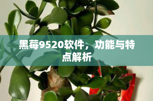 黑莓9520软件图片