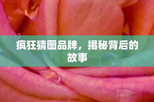 揭秘背后的故事图片