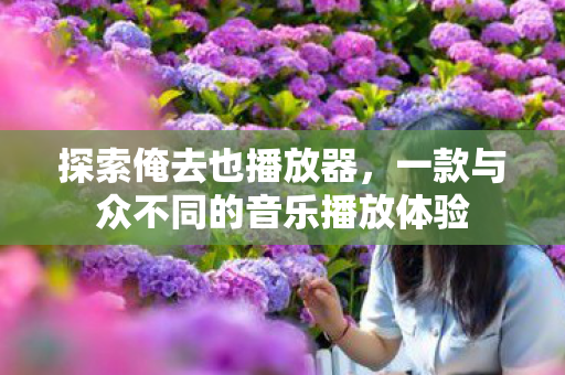 一款与众不同的音乐播放体验图片