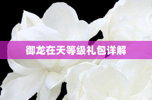 御龙在天等级礼包详解图片