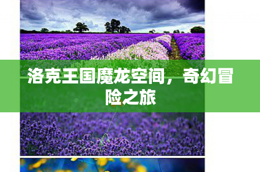 洛克王国魔龙空间图片