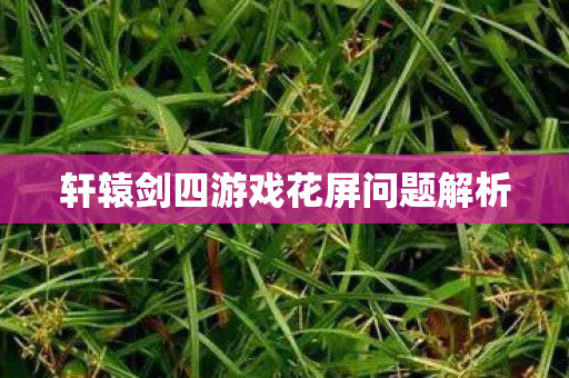 轩辕剑四游戏花屏问题解析图片