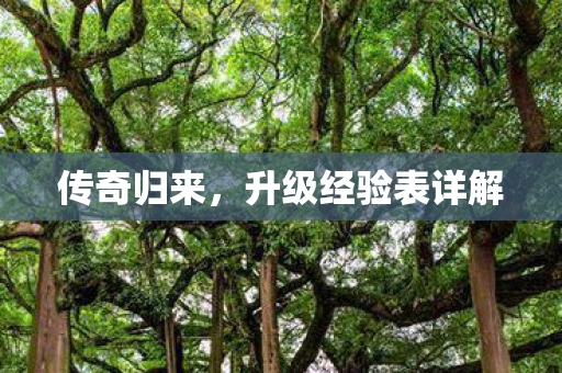 升级经验表详解图片