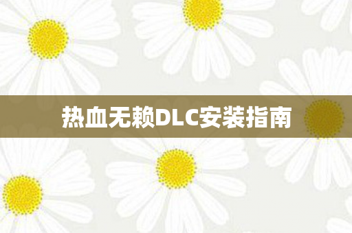 热血无赖DLC安装指南图片