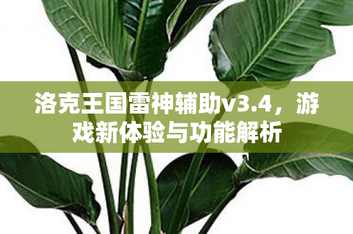 洛克王国雷神辅助v3图片