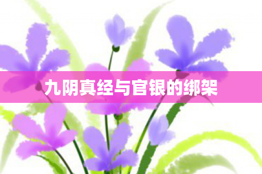 九阴真经与官银的绑架图片