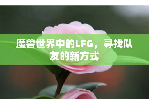 魔兽世界中的LFG图片