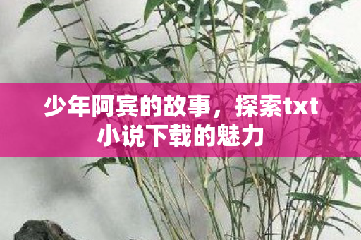 探索txt小说下载的魅力图片