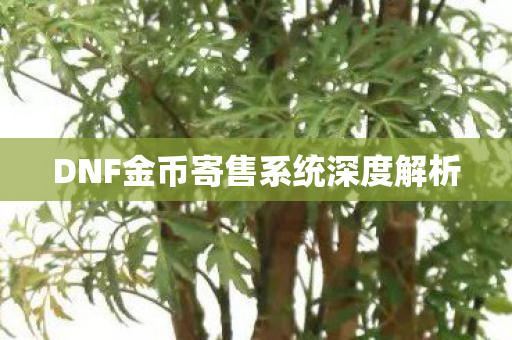 DNF金币寄售系统深度解析图片