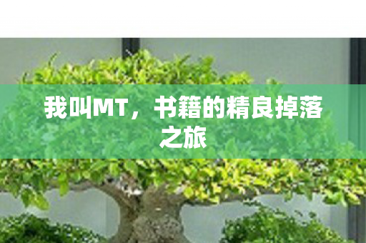 书籍的精良掉落之旅图片