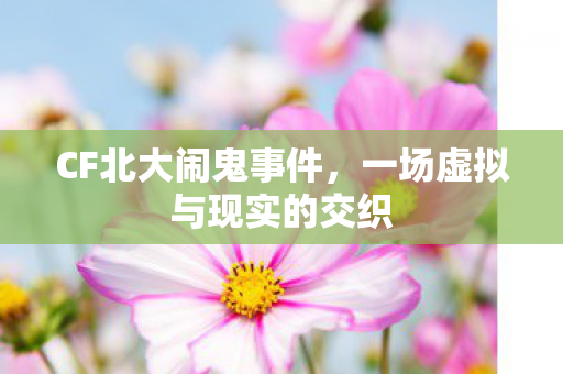 一场虚拟与现实的交织图片