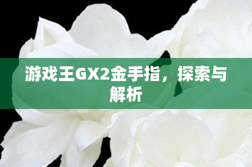 游戏王GX2金手指图片