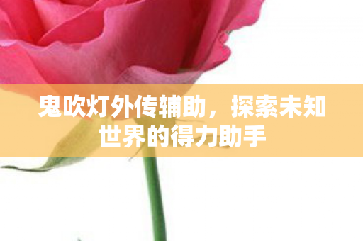 探索未知世界的得力助手图片