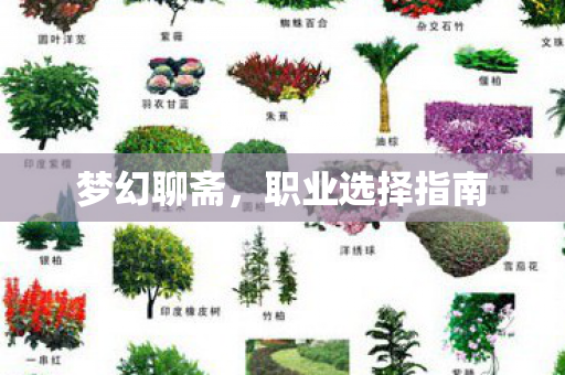 职业选择指南图片