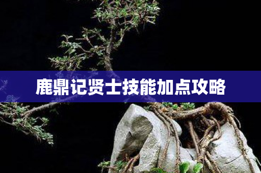 鹿鼎记贤士技能加点攻略图片