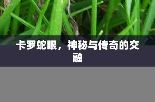 神秘与传奇的交融图片