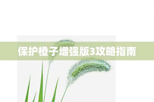 保护橙子增强版3攻略指南图片