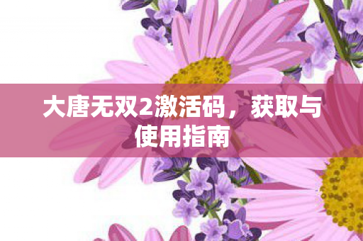 大唐无双2激活码图片