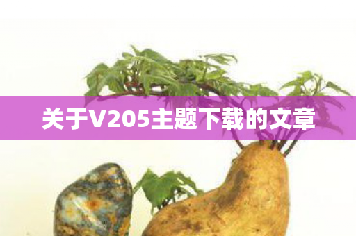 关于V205主题下载的文章图片