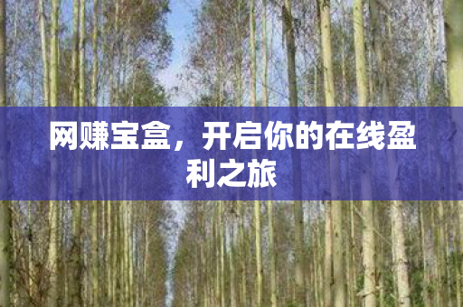 开启你的在线盈利之旅图片