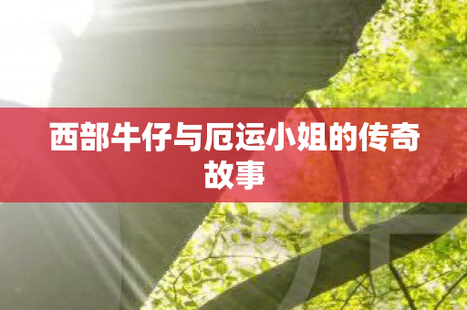 西部牛仔与厄运小姐的传奇故事图片