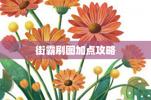 街霸刷图加点攻略图片