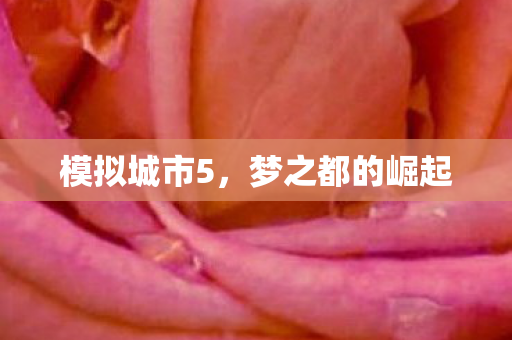 梦之都的崛起图片