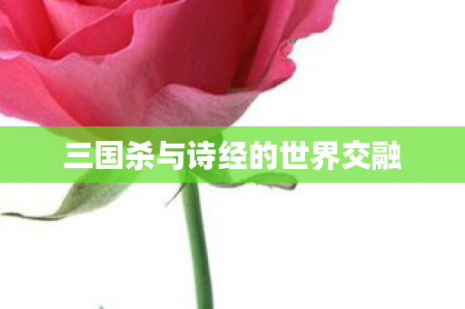 三国杀与诗经的世界交融图片