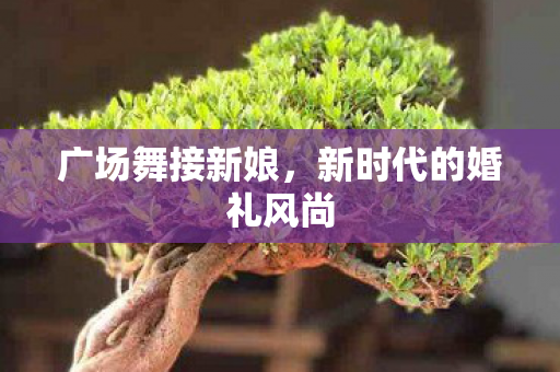 新时代的婚礼风尚图片