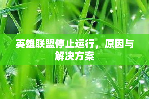 英雄联盟停止运行图片