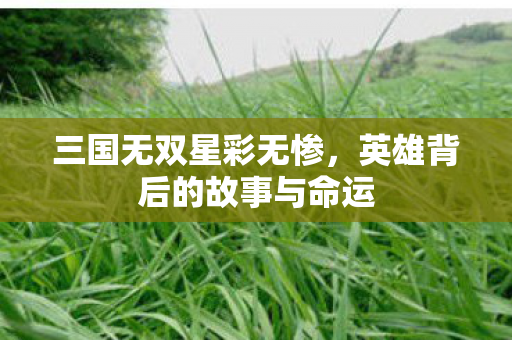 英雄背后的故事与命运图片